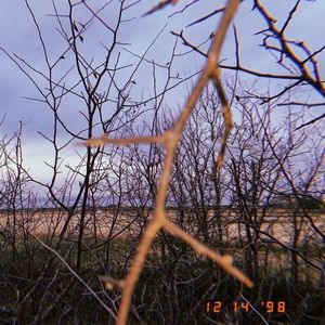 Meet your Posher, Nicoleee